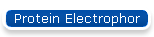 Protein Electrophor